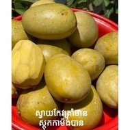 Kemboja Jeruk Mangga Masam Manis Sedap 1kg (ស្វាយកែវត្រាំ) Khmer Food