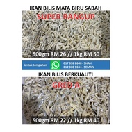 ikan bilis mata biru