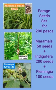 Forage Seeds Set/ Geukdong Ph/ Maramais 50 seeds+ Indigofera 200 seeds + Flemingia 100 seeds / Fast 