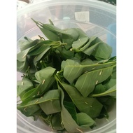 Tapai Pulut Daun Getah @ Daun Jambu Sedap Manis (100 biji)
