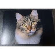 Photo Printing Cuci Gambar 4R 3R A4