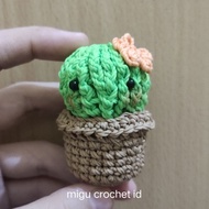 Amigurumi cactus (cactus, cactus) cute