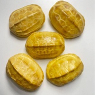 Boutique Natural Turtle Shell Golden Armor Yao Gua Copper Coins Wenwan Handle Chinese Turtle Shell F
