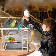 【ขายดี】คอนนก ชุดเซตคอนนกแก้ว ของเล่นนก ถาดสแตนเลส คอนนกยืน สำหรับนกแก้วขนาดเล็ก นกเลิฟเบิร์ด นกแก้ว นกหงส์หยก
