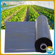 SRY01 Mulsa Plastik Pertanian Hitam/Mulsa Plastik Untuk Greenhouse
