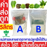 *ค่าส่งถูก* สารละลาย AB ไฮโดรโปนิกส์ เอบี ธาตุอาหาร น้ำ ผักไฮโดร Hydroponics สลัด ผักไทย ผักกาด ผักจ