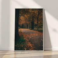 HD Autumn Forest Scenery Poster - Elegant Wooden Frame 20x30cm & 30x40cm