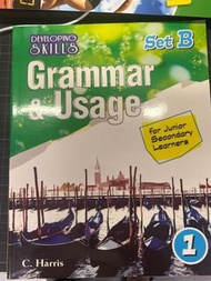 F1 Grammar&Usage book setB