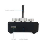 AIYIMA Audio TPA3116 Bluetooth 5.0 Stereo Digital, papan penguat