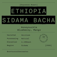 CONTOUR Filter Roast / ETHIOPIA SIDAMA BACHA / Single Origin Filter Coffee Bean / 咖啡豆