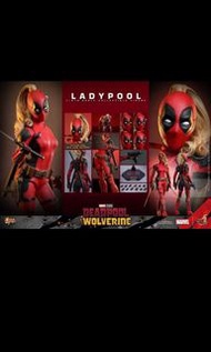 現貨 全新 Hottoys Ladypool 女死侍 deadpool & wolverine 狼人死侍 1/6 hot toys