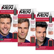 Just For Men Shampoo-In Hair Colour I Ammonia Free