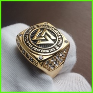 ✩ ╯ Stainless Steel Men's Ring Tau Gamma Phi Fraternity Ring with Rhinestone Size 6-13