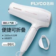 Flyco Hair Dryer High Power2000W Household Hair Dryer Constant Temperature Six-Speed Foldable Hair D