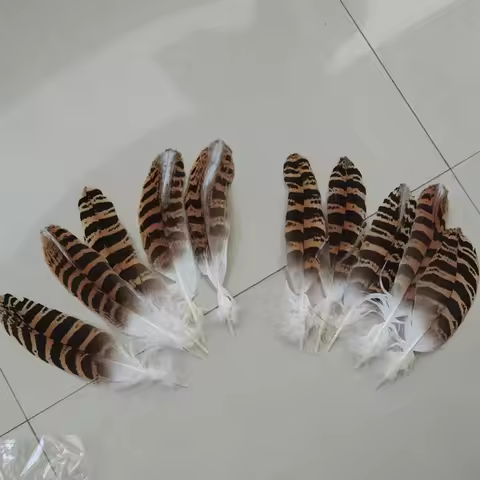 Wholesale 10pcs / lot natural eagle feathers long 18-23 cm / 7-9 inch beautiful pattern feathers