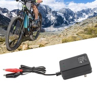 Clip Cable Battery Charger  Input 110V AC 50Hz 60Hz 10W Electric Bike for Replacement