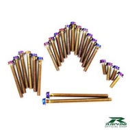 Rapido Crankcase Screw Set #R01 - Titanium Blue