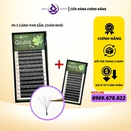 Ready fan eyelashes, 3D/4D/5D eyelashes - 0.07T - C/D curl - GIULIA eyelashes - handmade fan eyelash