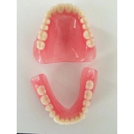 Whole Mouth Elderly Teeth Full Mouth Teeth Model Display Supplies Full Mouth Dentures Movable Teeth 
