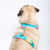 [พร้อมส่ง] DOGGU Harness Sport Club - สายรัดอกกันน้ำ