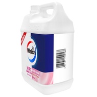 Walch/Walch Antibacterial Moisturizing Hand Sanitizer Refill Pack 5L Children's Family Hotel Restaur