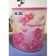 Tupperware Orchid Elegance 4.3L one touch