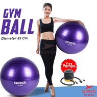 Code P85R SPEEDS Gym Ball fitness 65cm Gym Ball yoga Ball Sports Equipment Gymball Bonus Pump 192
