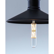 T10 Led Tubular Bulb,100 Watt Incandescent Bulb,12W T30 Dimmable Edison Led Long Bulb,3000K Soft Whi