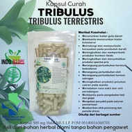 Kapsul TRIBULUS 100/200/300 pcs Untuk Meningkatkan Hormon Testoteron, Kesuburan Pria & Wanita