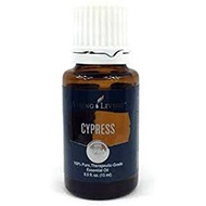 Young-Livings Cypress Essential Oil 15ml