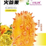 Ginseng Fruit Seeds African Melon Seeds Thorntail Melon Mars Fruit Seeds Sea Cucumber Fruit Featured