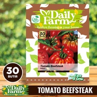 Daily Farm - Benih Buah Tomat Tomato Red Beefsteak - Tomat Beefsteak Merah
