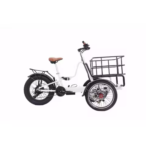Offroad Electric Tricycle E-bike 3 Wheel Electric Long Range Electric Front Cargo Bike 250W/350W/500