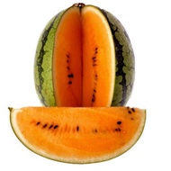 15 เมล็ด เมล็ดแตงโม สีส้ม ผลไม้ สวนครัว เหมาะแก่การทำสวน ORANGE  Watermelon Fruit and Vegetable Seeds