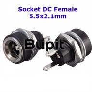 Plastic Female Dc Socket