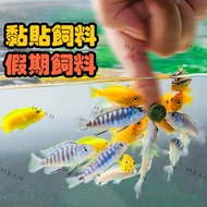 Handsome Aquarium [Aquarium Brand] Tropical Fish Ornamental Patch Feed [1 Piece] Paste Holiday Guppy