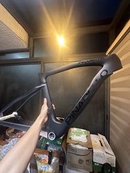 Pinarello 2024 F9 Disk 車架