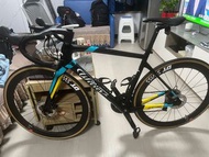 Wilier GTR Team Disc 公路車 m 碼 no giant 皮娜 sworks trek