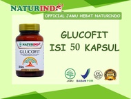 Obat Herbal Diabetes Diabetes melitus Diabetes Basah Diabetes Kering Gula Darah Tinggi Diabetes Tipe