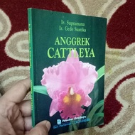 Anggrek Cattleya