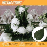(50pcs) DAUN SIRIH Junjung Plastik Sireh Hantaran Pelamin Dulang Hiasan Siap Gubah Perkahwinan Gift 