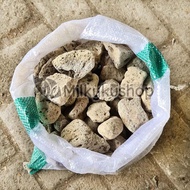 SUPER LARGE FLOATING STONE - PUMICE STONE AQUARIUM FILTER AQUARIUM FILTER AQUARIUM ACCESSORIES