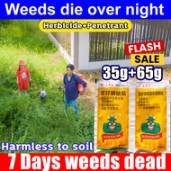 Weeds die overnight  LL Weed killer Racun rumput mati akar Racun rumput paling kuat 100g 除草剂 24-Hour