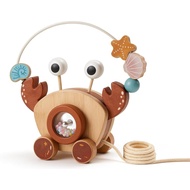 Pull-Along Walking Toys for Babies 12 Months +,4 in 1 Push and Pull Toy for Toddlers Aged 1-2 and 3-