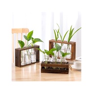 Creative Hydroponic Wooden Frame Vase Tether Style Small Fresh Living Room Simple Decorative Ornamen