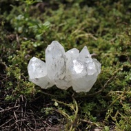 印度鑽石魚眼共生綠幽、鑽石魚眼帶綠幽、魚眼石