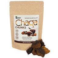 Sayan Siberian Pure Raw Chaga Mushroom Chunks with Black Top Crust 4 Oz / 113 g - Premium Wild Fores