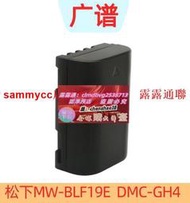 限时下殺松下DMW-BLF19E BP-61 DMC-GH4 GH5 GH5S GH3 G9L 相機電池充電器