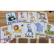 Zoo animals/forest animals