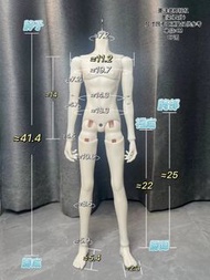 bjd 墨染體 CP團 mia白 大四分素體